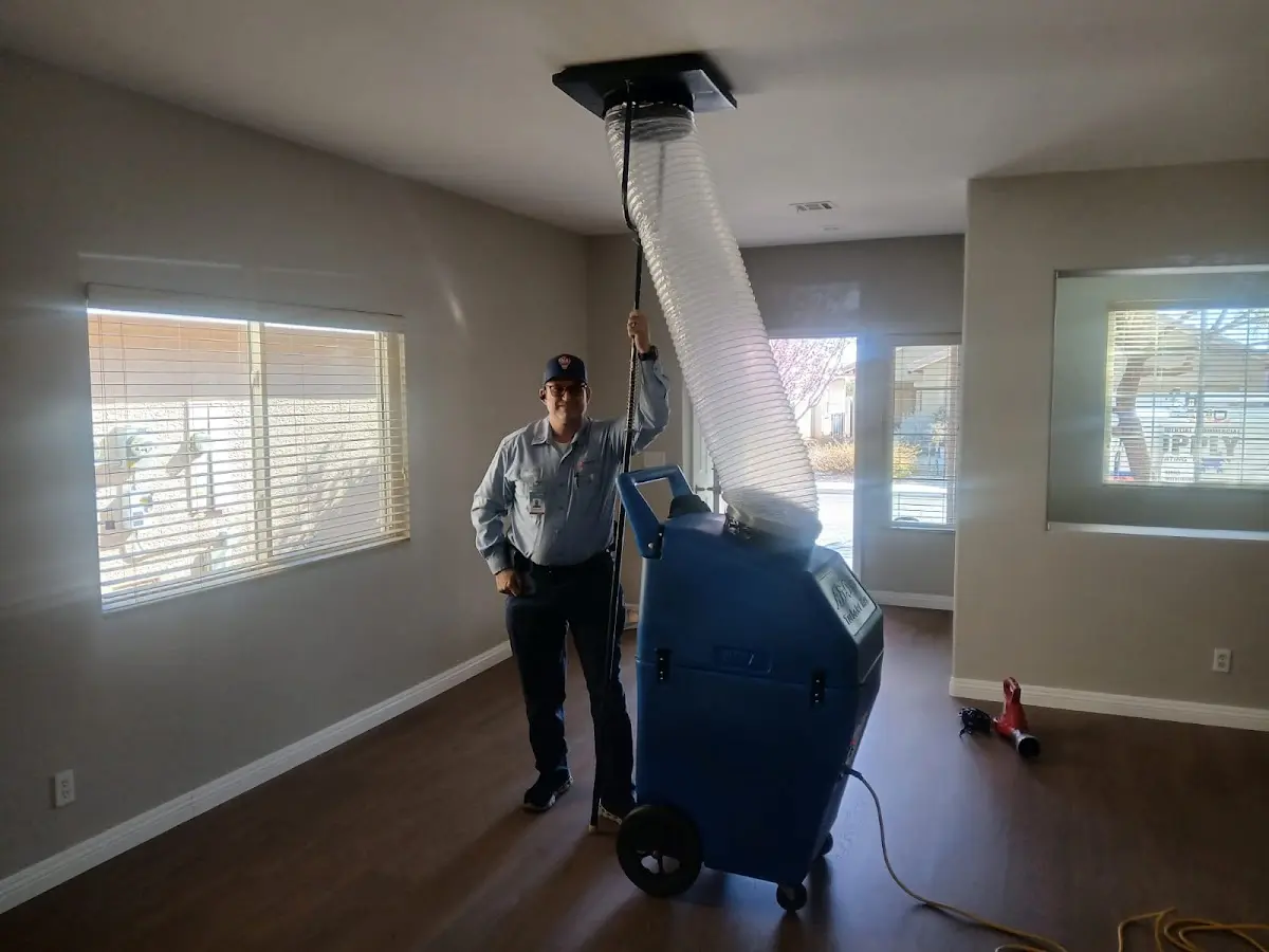 Professional Dryer Vent Cleaning work inside a Safety Harbor home